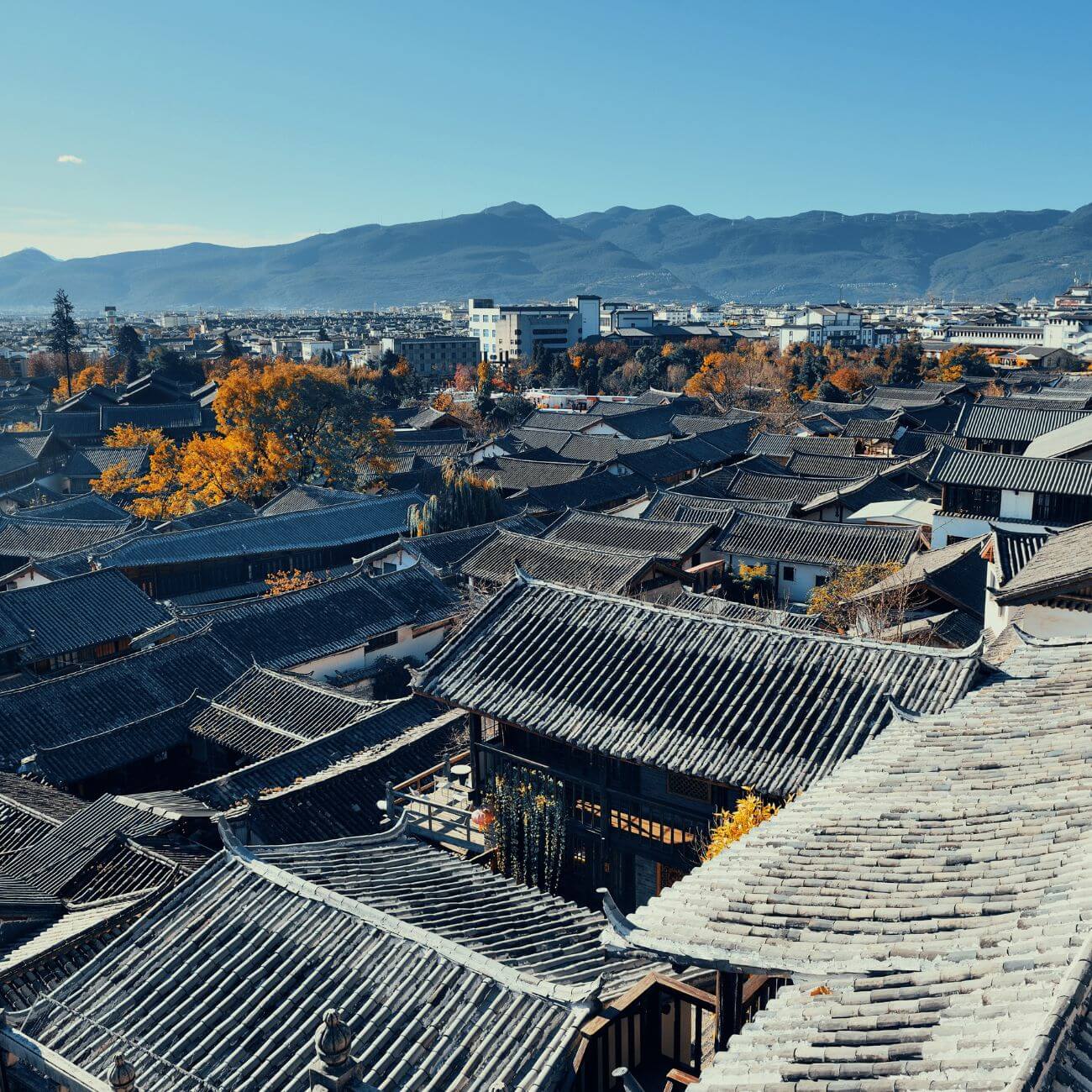 China | 2026