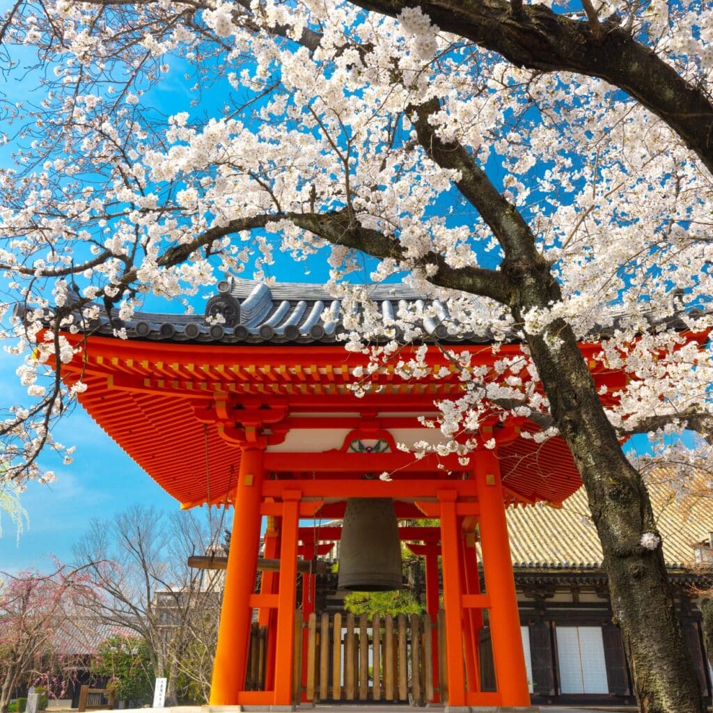 Japão, Primavera no país do Sol nascente | 2025