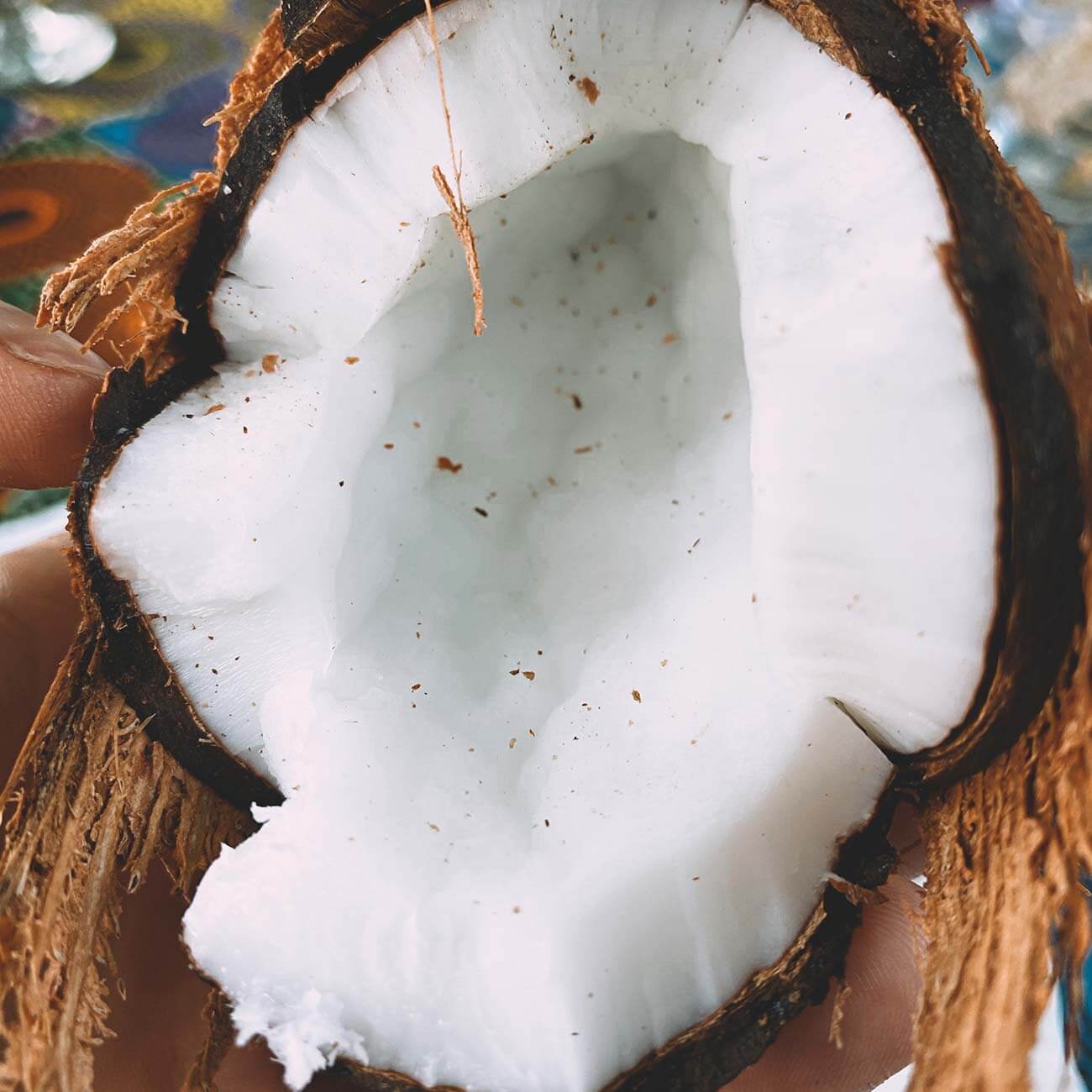 São Tomé E Principe | 2025 - Fotoadrenalina